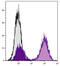 CD74 antibody, 99-028, ProSci, Western Blot image 