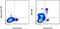 Interferon Regulatory Factor 8 antibody, 12-9852-80, Invitrogen Antibodies, Flow Cytometry image 