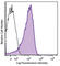 CD63 Molecule antibody, 353012, BioLegend, Flow Cytometry image 