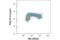 PCNA antibody, 61446S, Cell Signaling Technology, Flow Cytometry image 