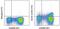 C-C Motif Chemokine Receptor 7 antibody, 11-1979-42, Invitrogen Antibodies, Flow Cytometry image 