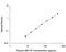 Colony Stimulating Factor 2 antibody, DGM00, R&D Systems, Enzyme Linked Immunosorbent Assay image 