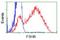 Follicle Stimulating Hormone Subunit Beta antibody, LS-C115550, Lifespan Biosciences, Flow Cytometry image 