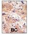 Phosphatidylinositol-4,5-Bisphosphate 3-Kinase Catalytic Subunit Beta antibody, GTX59596, GeneTex, Immunohistochemistry paraffin image 