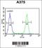 Actin Related Protein 2 antibody, 62-308, ProSci, Flow Cytometry image 