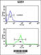 Homeobox C6 antibody, 61-847, ProSci, Flow Cytometry image 