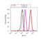 F-Box And WD Repeat Domain Containing 7 antibody, 40-1500, Invitrogen Antibodies, Flow Cytometry image 