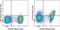 Signaling Lymphocytic Activation Molecule Family Member 1 antibody, 48-1502-80, Invitrogen Antibodies, Flow Cytometry image 