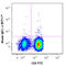 Interferon Gamma antibody, 502539, BioLegend, Immunocytochemistry image 