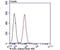 WASP Like Actin Nucleation Promoting Factor antibody, NBP2-75599, Novus Biologicals, Flow Cytometry image 