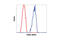 CAMP Responsive Element Binding Protein 1 antibody, 9197L, Cell Signaling Technology, Flow Cytometry image 