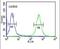 ATPase H+/K+ Transporting Subunit Beta antibody, PA5-25105, Invitrogen Antibodies, Flow Cytometry image 