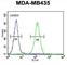 SET And MYND Domain Containing 4 antibody, abx026338, Abbexa, Western Blot image 