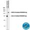 FLAG antibody, MAB8529, R&D Systems, Western Blot image 