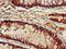 Acyl-CoA Dehydrogenase Family Member 9 antibody, CSB-PA887999EA01HU, Cusabio, Immunohistochemistry frozen image 