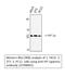 Chromobox 3 antibody, STJ98892, St John