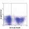 c-Kit antibody, 135111, BioLegend, Flow Cytometry image 