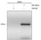 IKAROS Family Zinc Finger 1 antibody, PA5-47682, Invitrogen Antibodies, Chromatin Immunoprecipitation image 