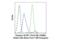 Eukaryotic Translation Initiation Factor 4E Binding Protein 1 antibody, 2846S, Cell Signaling Technology, Flow Cytometry image 