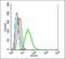 LIM Homeobox 2 antibody, orb157794, Biorbyt, Flow Cytometry image 