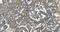 Cadherin 6 antibody, A06353-1, Boster Biological Technology, Immunohistochemistry paraffin image 