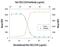 C-X-C Motif Chemokine Ligand 5 antibody, AF543, R&D Systems, Western Blot image 