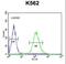 Testis Expressed 9 antibody, LS-C161813, Lifespan Biosciences, Flow Cytometry image 