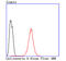 Protein Phosphatase 3 Catalytic Subunit Alpha antibody, A03026-2, Boster Biological Technology, Flow Cytometry image 