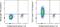 T Cell Receptor Alpha Constant antibody, 25-5766-42, Invitrogen Antibodies, Flow Cytometry image 