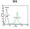 STEAP2 Metalloreductase antibody, abx032562, Abbexa, Flow Cytometry image 