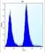 O-6-Methylguanine-DNA Methyltransferase antibody, abx027079, Abbexa, Western Blot image 