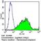 Nerve Growth Factor Receptor antibody, MA5-13311, Invitrogen Antibodies, Flow Cytometry image 