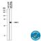 ISL LIM Homeobox 1 antibody, AF1837, R&D Systems, Western Blot image 