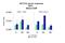 TATA-Box Binding Protein Associated Factor 2 antibody, ARP33392_P050, Aviva Systems Biology, Chromatin Immunoprecipitation image 