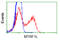 Mitochondrial Translational Release Factor 1 Like antibody, LS-C115052, Lifespan Biosciences, Flow Cytometry image 