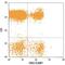 SLAM Family Member 7 antibody, FAB1906P, R&D Systems, Flow Cytometry image 