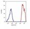 CD36 Molecule antibody, GTX79881, GeneTex, Flow Cytometry image 