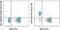 T-cell receptor beta chain V region 86T1 antibody, 47-5961-80, Invitrogen Antibodies, Flow Cytometry image 