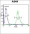 Nitric Oxide Synthase 3 antibody, orb29800, Biorbyt, Flow Cytometry image 