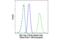 c-Myc antibody, 40760S, Cell Signaling Technology, Flow Cytometry image 