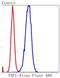 Yes Associated Protein 1 antibody, NBP2-67467, Novus Biologicals, Flow Cytometry image 