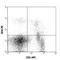 Interleukin 2 Receptor Subunit Beta antibody, 105902, BioLegend, Flow Cytometry image 