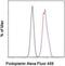 Podoplanin antibody, 53-5381-82, Invitrogen Antibodies, Flow Cytometry image 