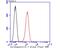 Calsequestrin 1 antibody, NBP2-75429, Novus Biologicals, Flow Cytometry image 