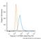 Tenascin C antibody, NB110-68136AF488, Novus Biologicals, Flow Cytometry image 