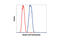 Acetyl-CoA Carboxylase Beta antibody, 3676P, Cell Signaling Technology, Flow Cytometry image 