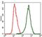 Raf-1 Proto-Oncogene, Serine/Threonine Kinase antibody, GTX60561, GeneTex, Flow Cytometry image 