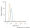 BCL2 Interacting Protein 3 antibody, NBP1-77683, Novus Biologicals, Flow Cytometry image 