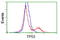 p53 antibody, LS-C172900, Lifespan Biosciences, Flow Cytometry image 