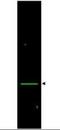 Porin antibody, orb86671, Biorbyt, Western Blot image 